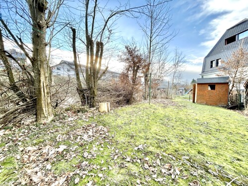 Garten mit Gartenhütte