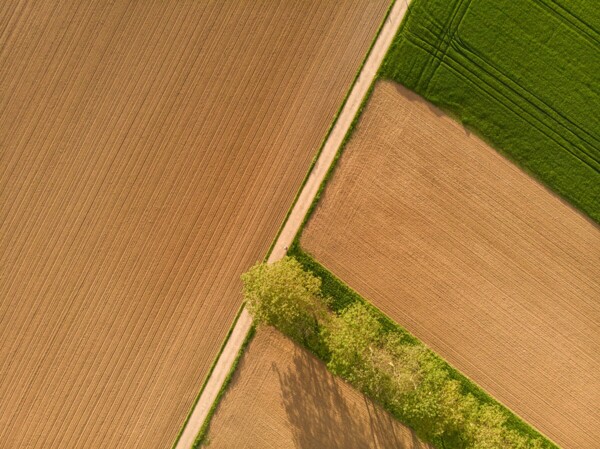 123_Bucher_Weg_1