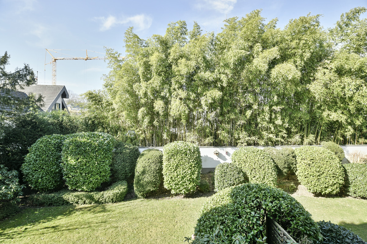 Blick Garten