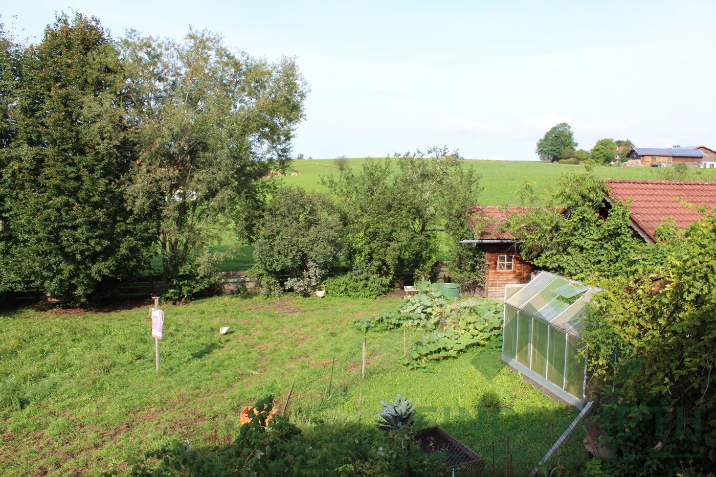 IMAußenansicht Garten West_9309