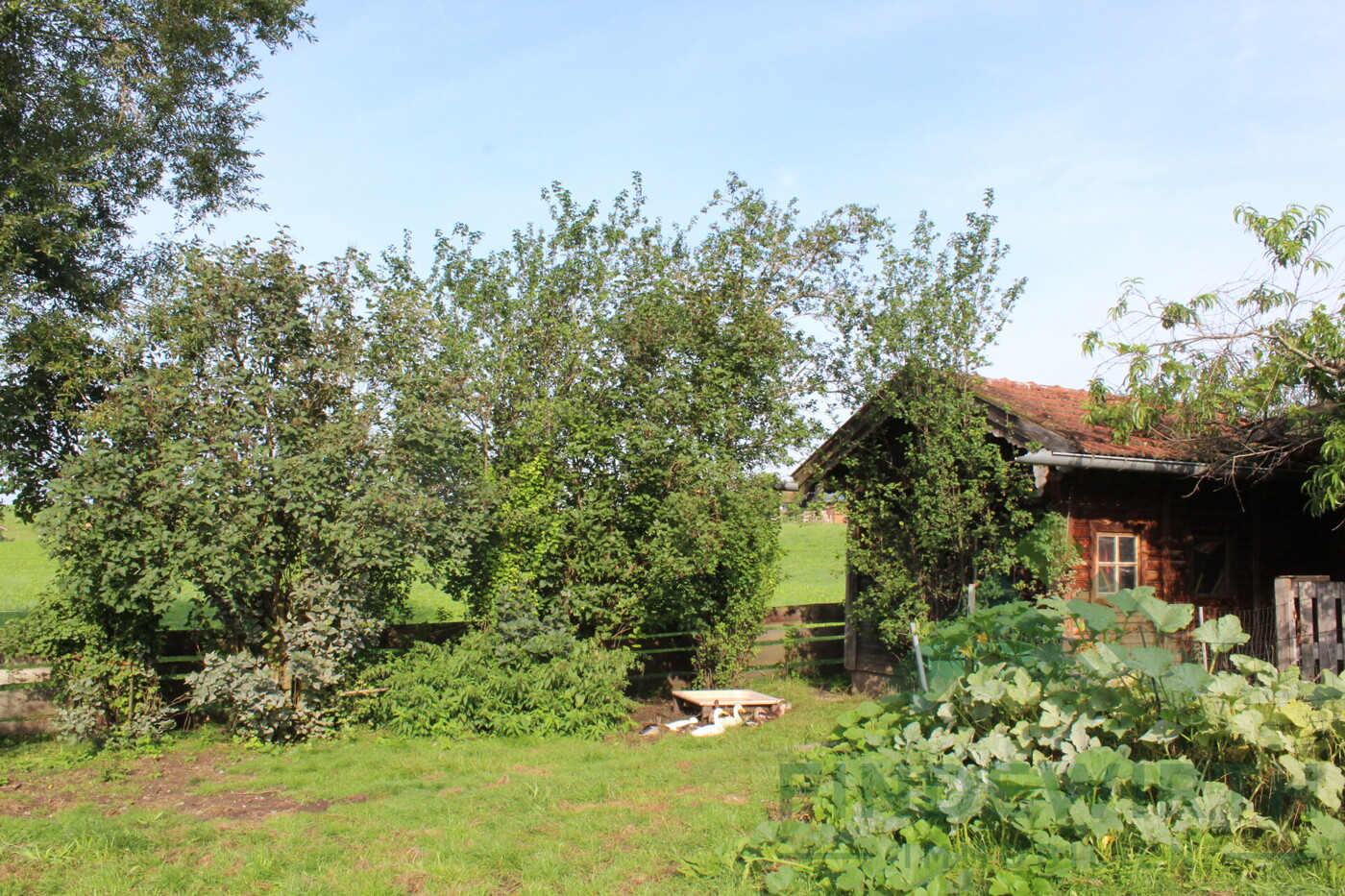 Außenansicht Garten West