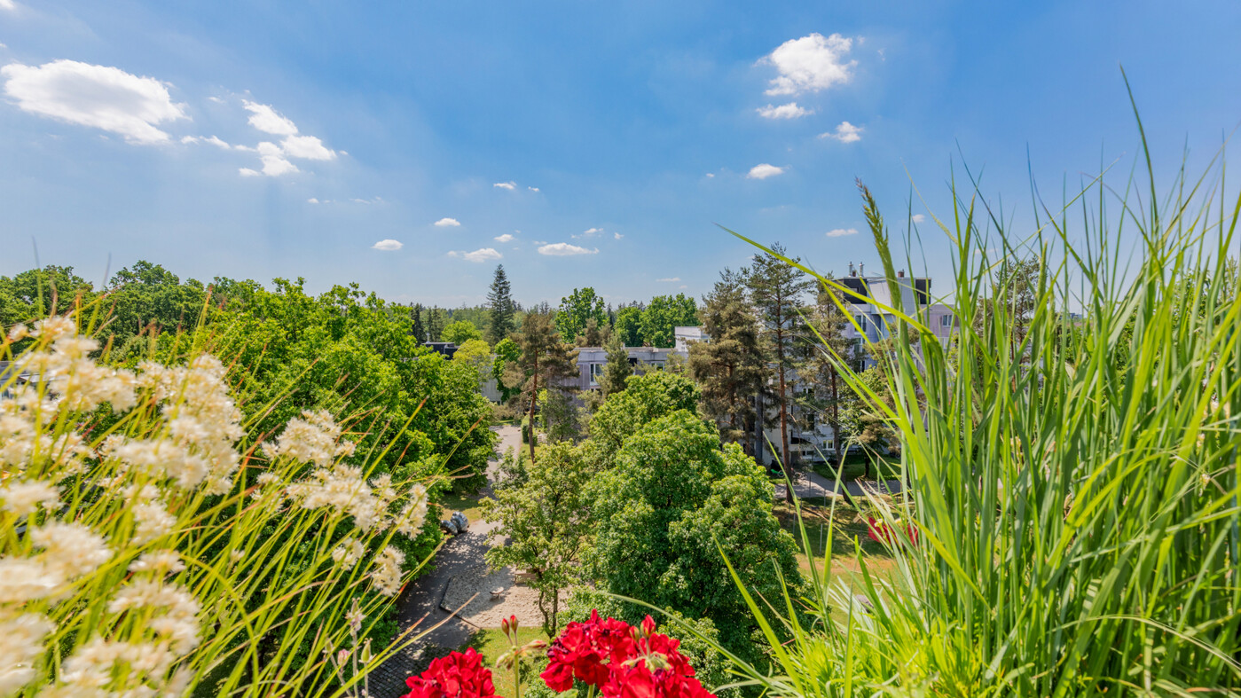 Ausblick