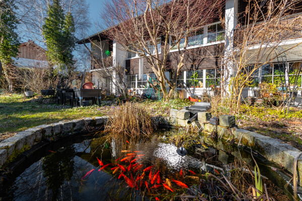 Hausansicht mit Teich