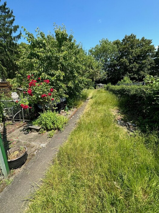 image31