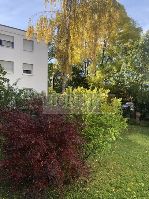 Blick aus Wohnzi u Balkon