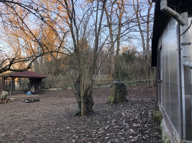 Blick zum Weg