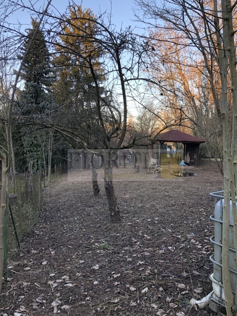 Blick Richtung CP