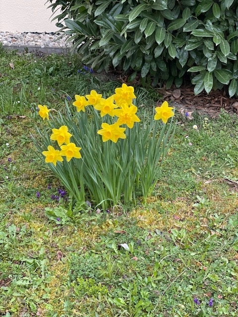 Fröhliche Ostern