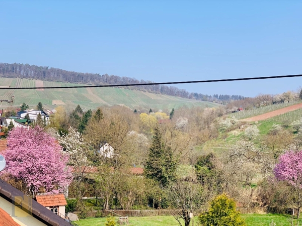 Ausblick vom 1.OG