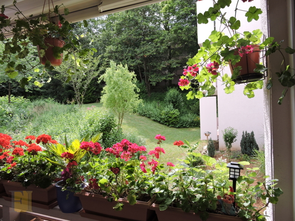Ausblick vom Balkon