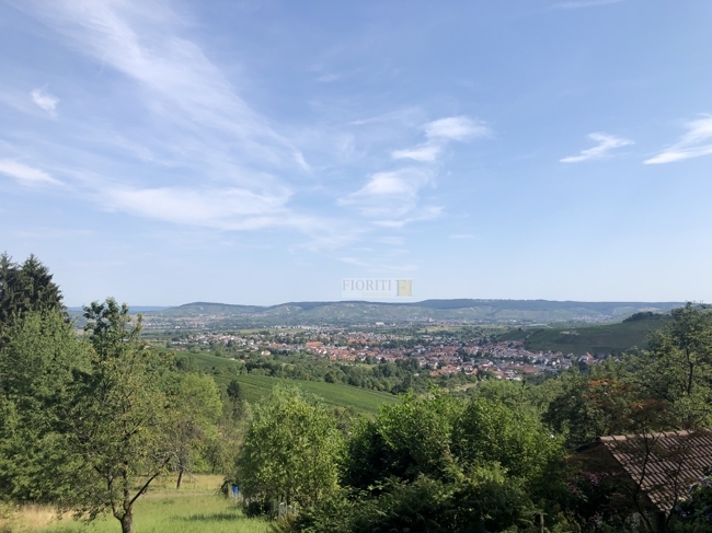 Vorderes Remstal