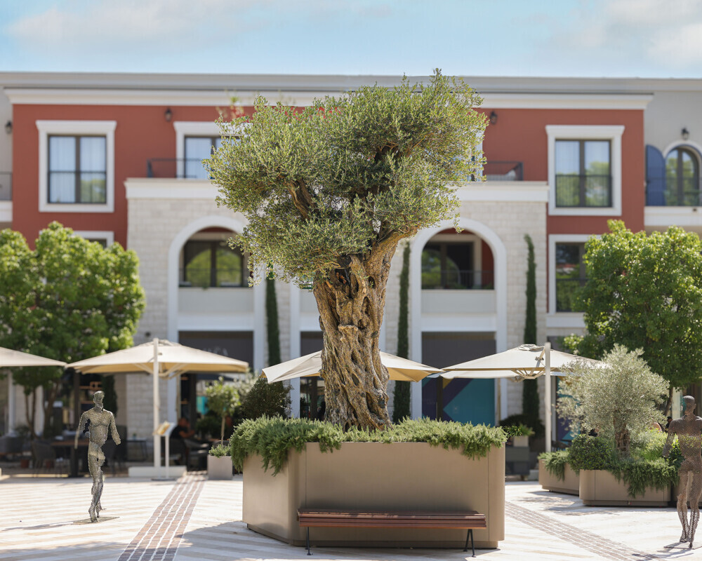 Lustica Bay - Centrale Piazza apartment