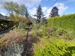 Garten mit Blick zur Gartenhütte