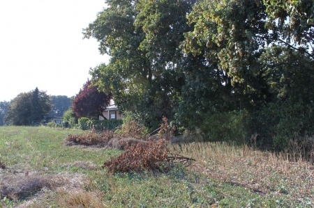 Blick von Südseite