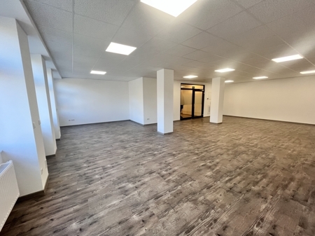 Büro-/Praxisfläche 1. OG