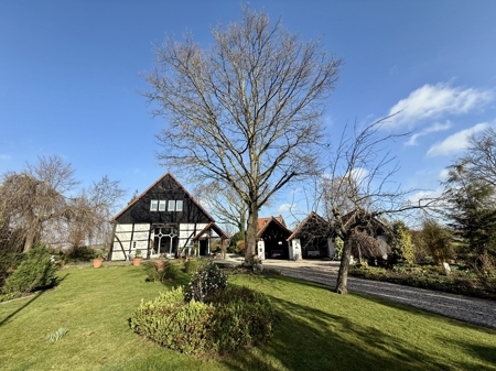 Außenansicht / Garten