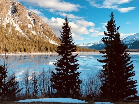 Williamslake
