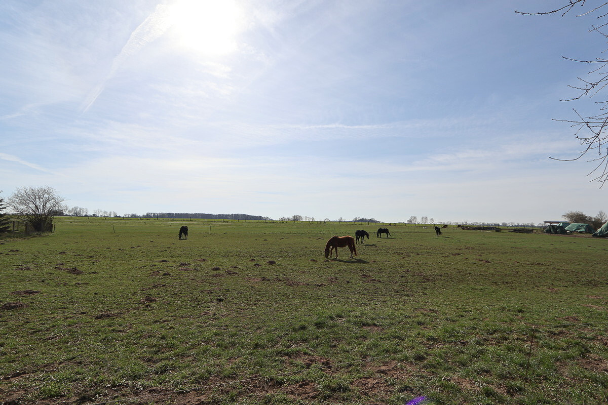 mit Ausblick auf die herrliche Landschaft