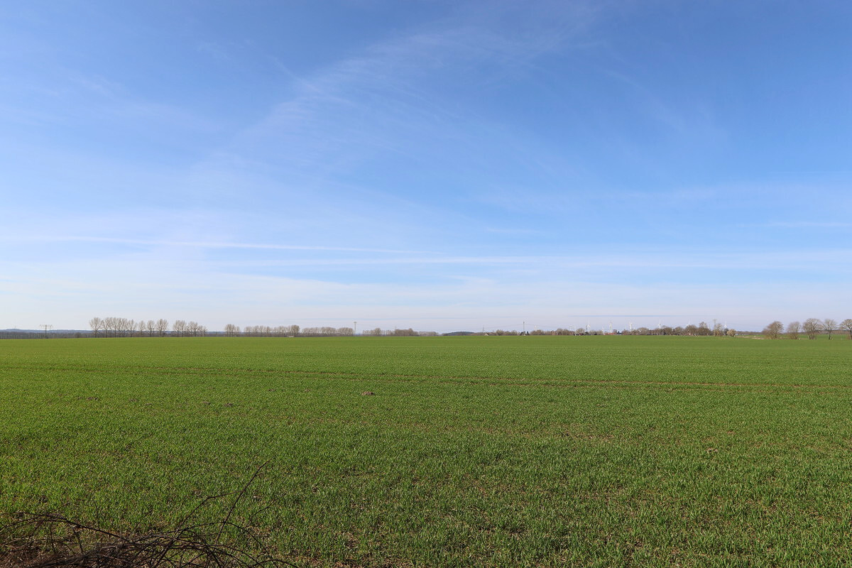 die wunderschöne Natur