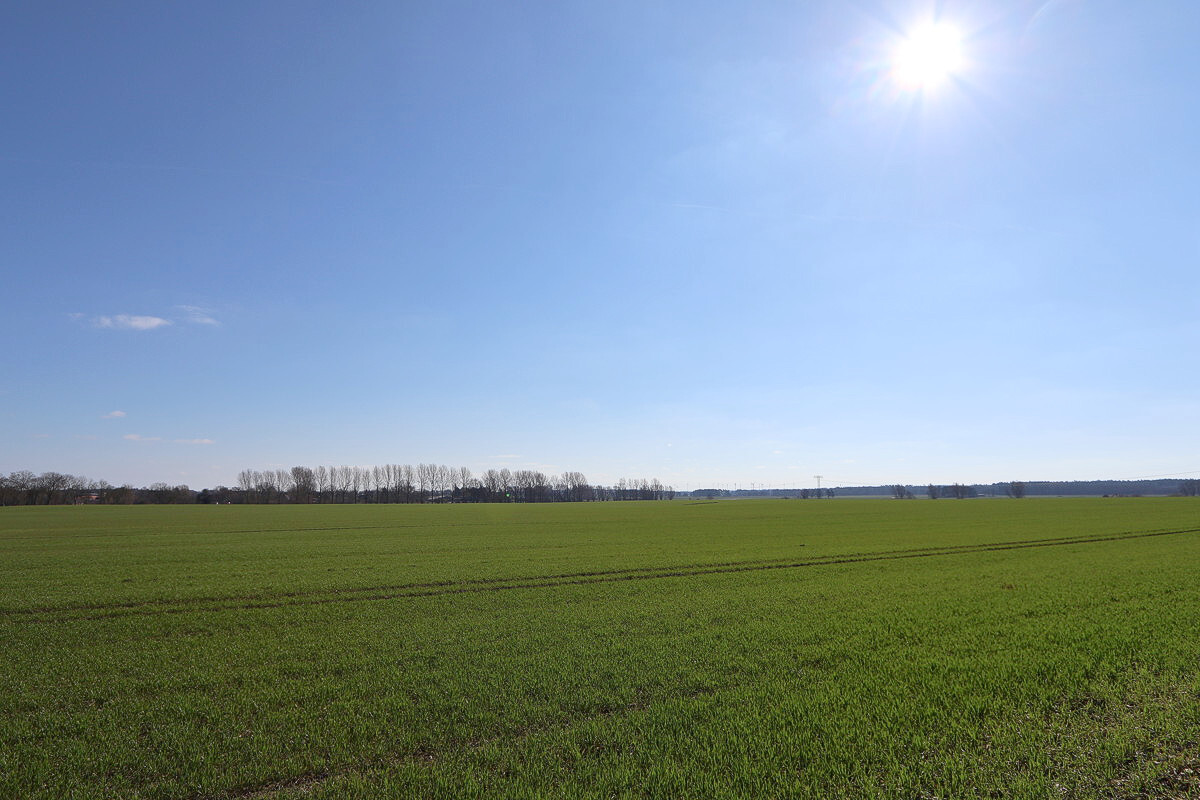 Der Weitblick in