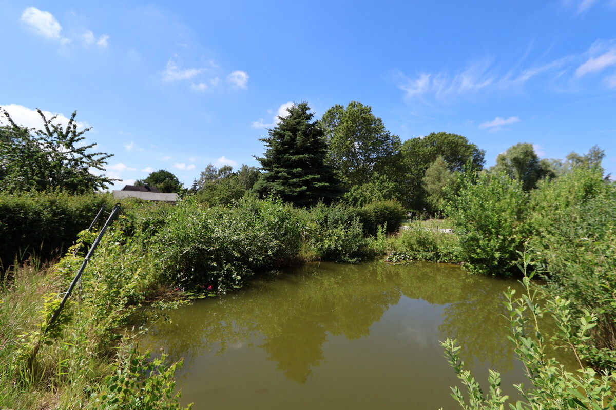 Der idyllische Teich