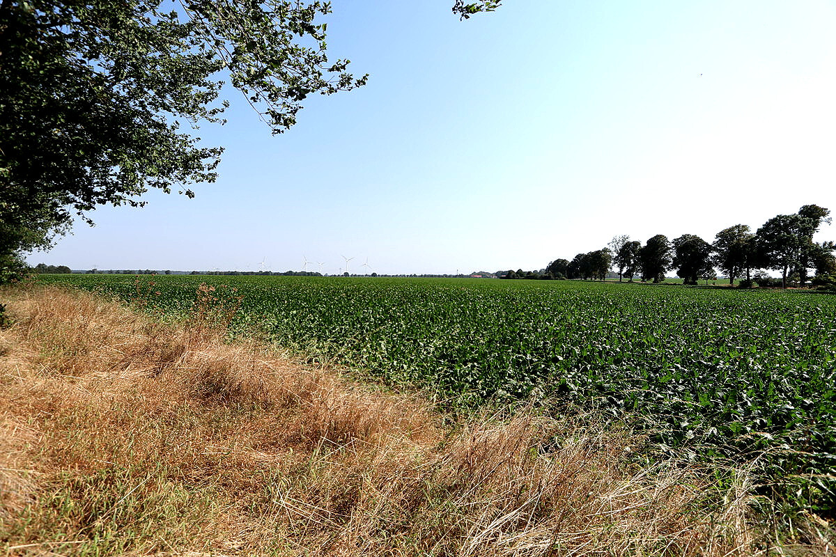 Weitblick in die Natur