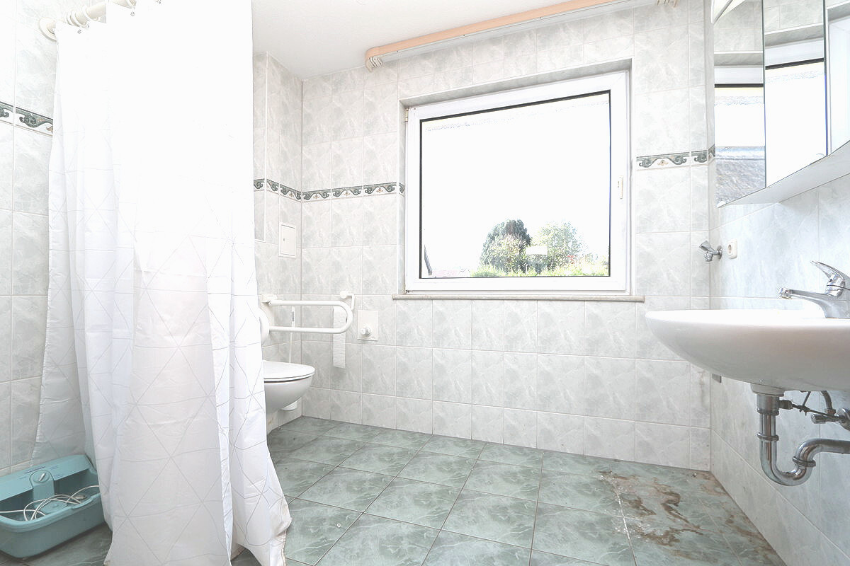 Das moderne Tageslicht-Duschbad