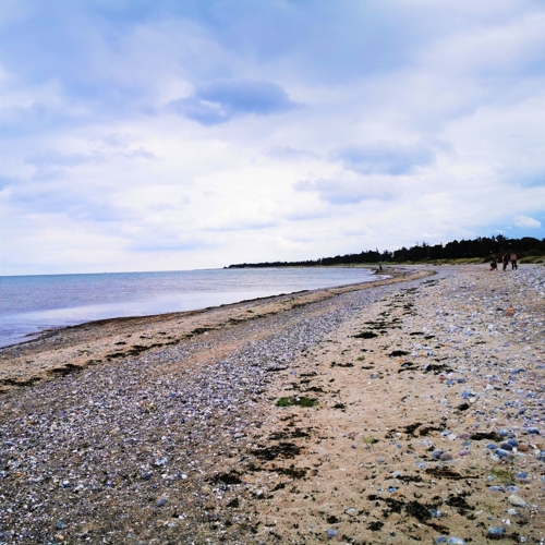 Wenkendorf Strand - Muschelparadies