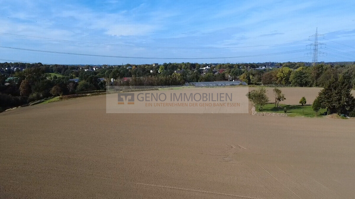 Blick in die Ferne 