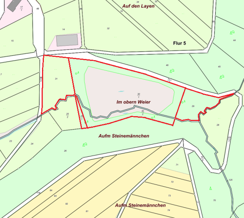 Auszug Flurkarte markiert