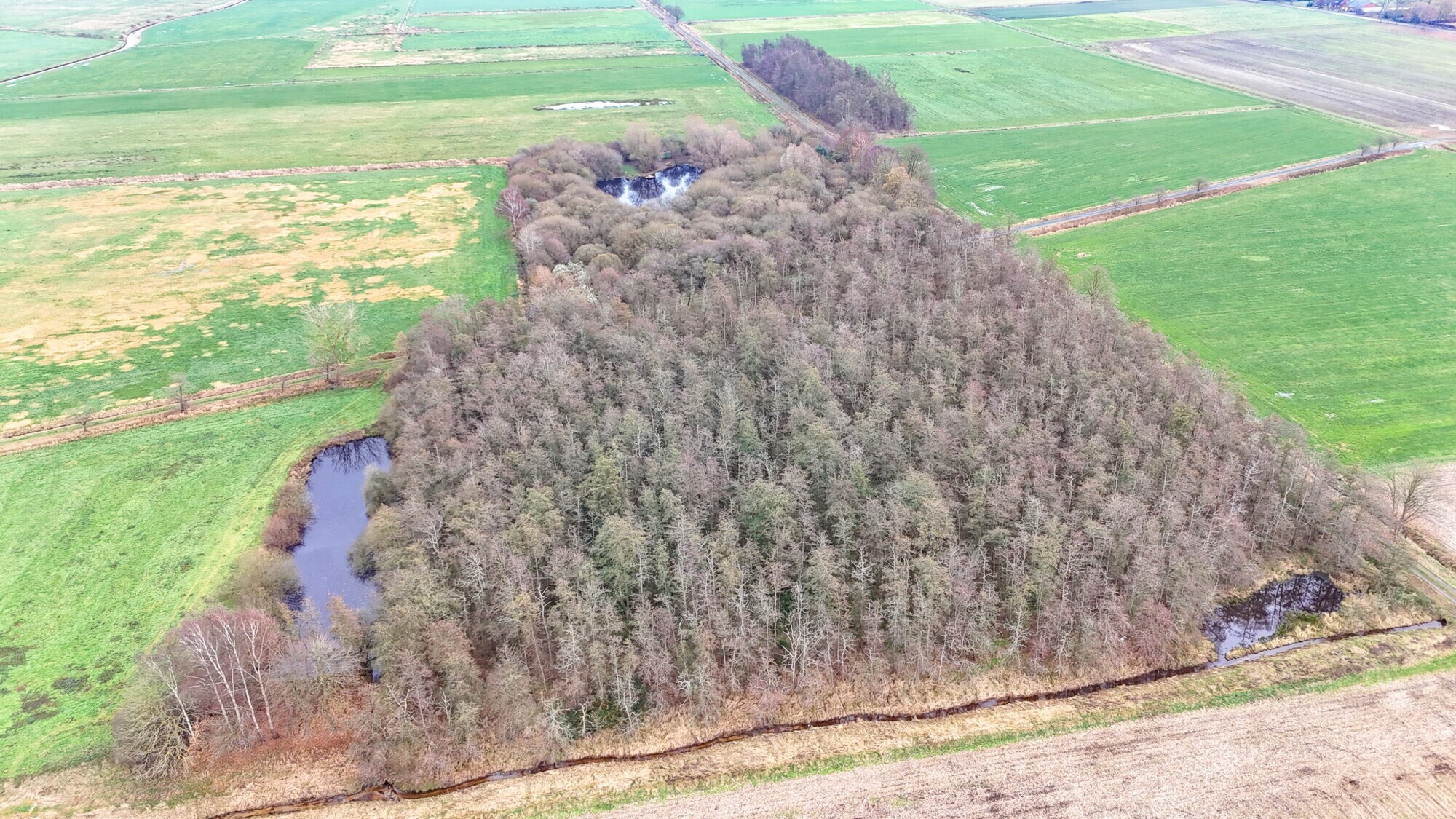 Flurstück 389, Flur 5