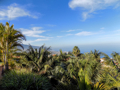 Blick auf Puerto de la Cruz