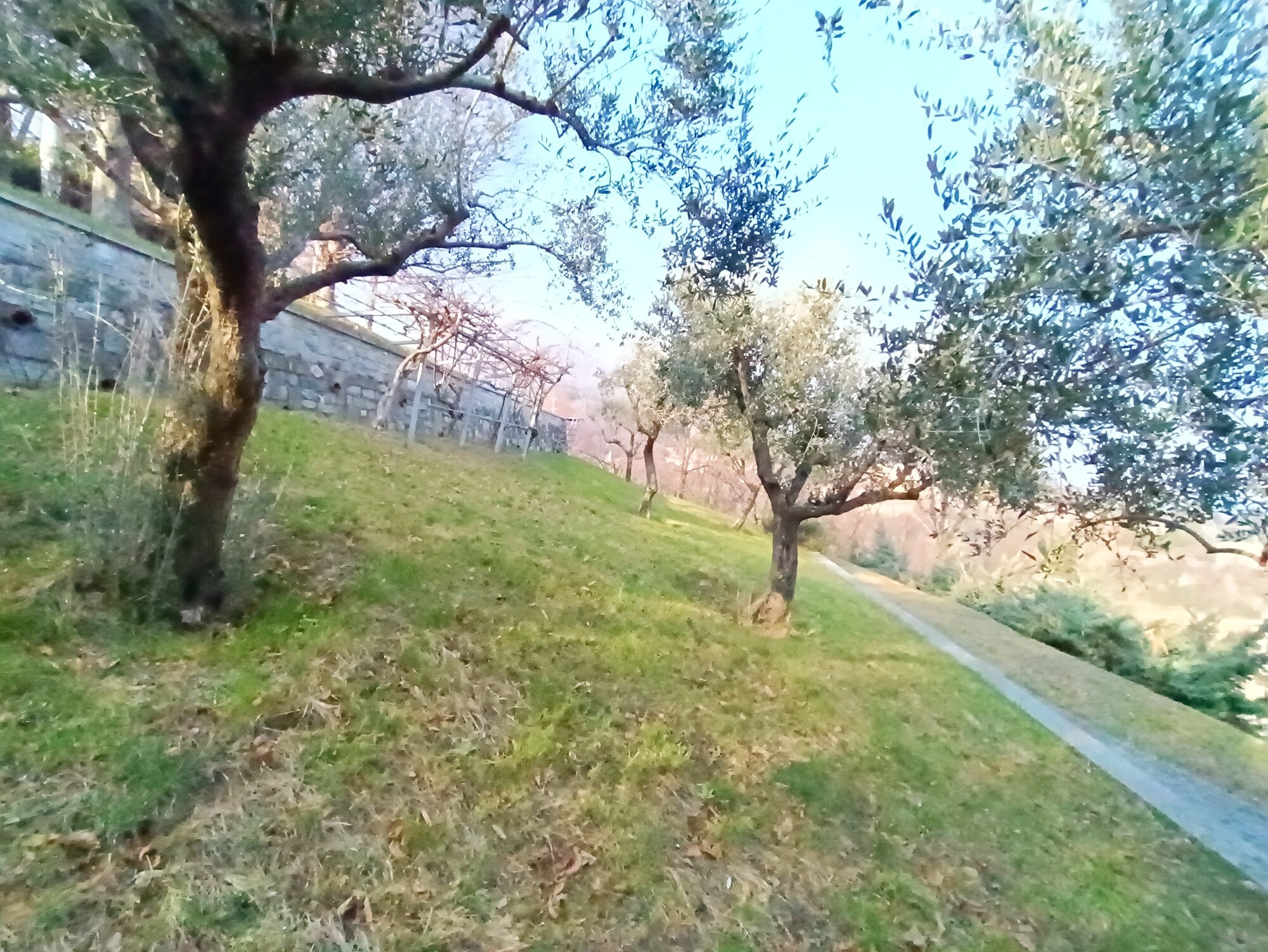 Villa Panoramica Menaggio