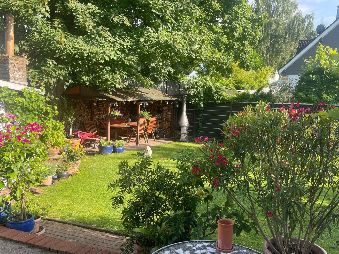Garten, Aussicht aus der Küche