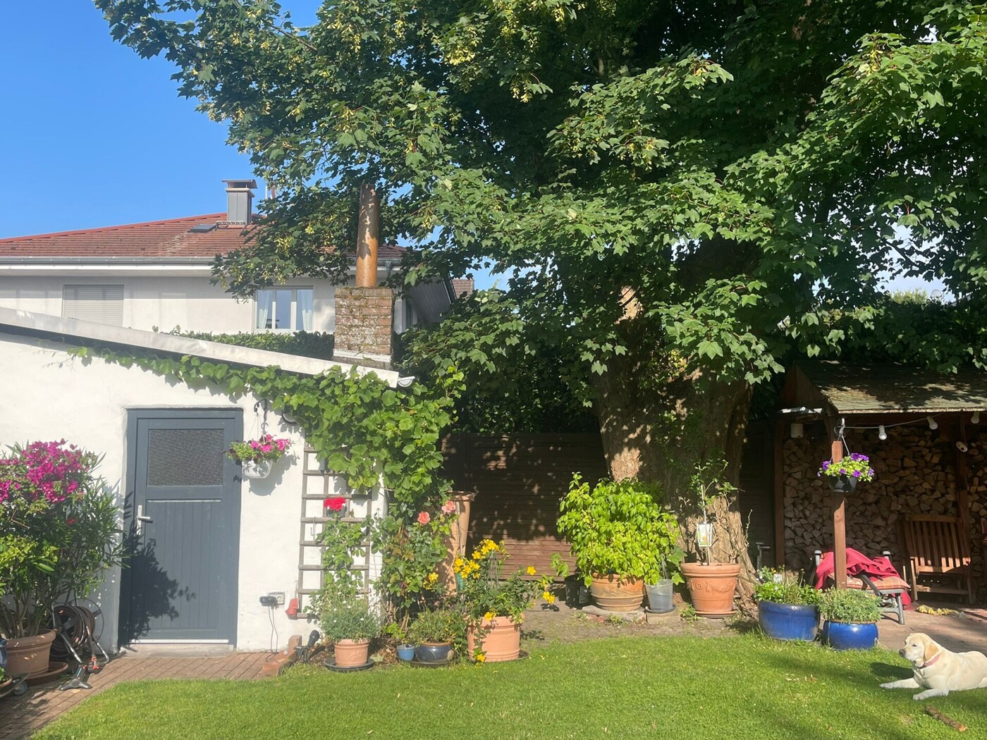 Garten