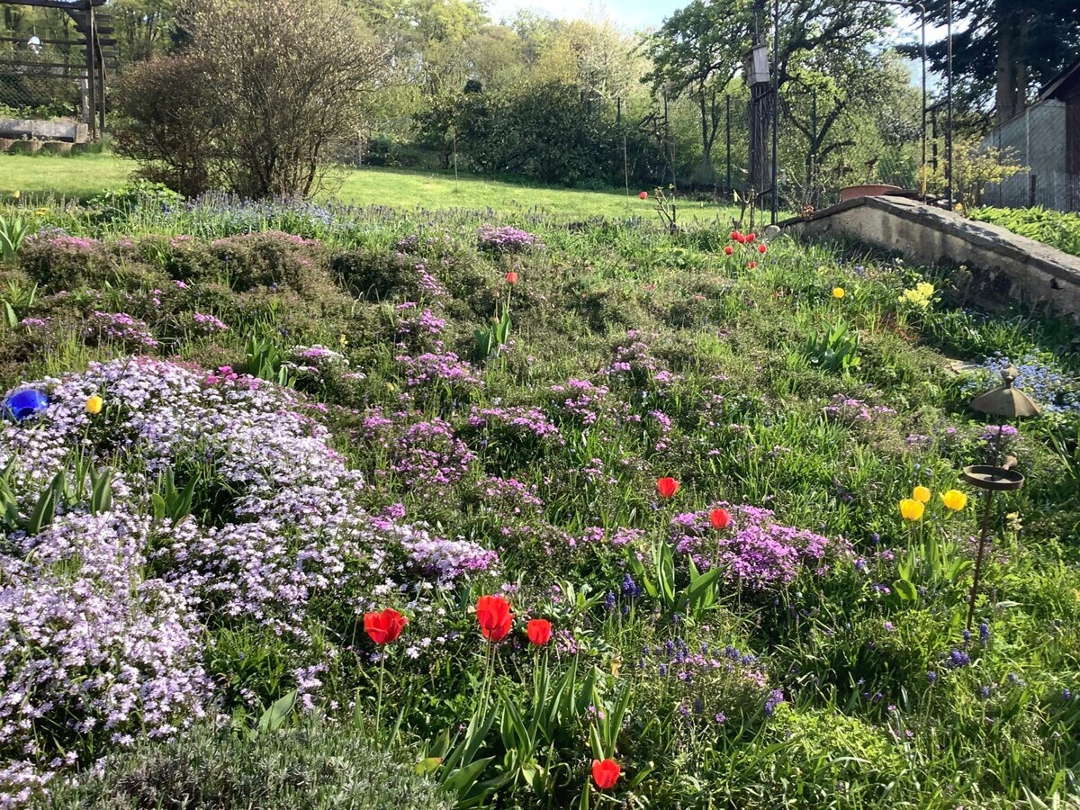 Garten