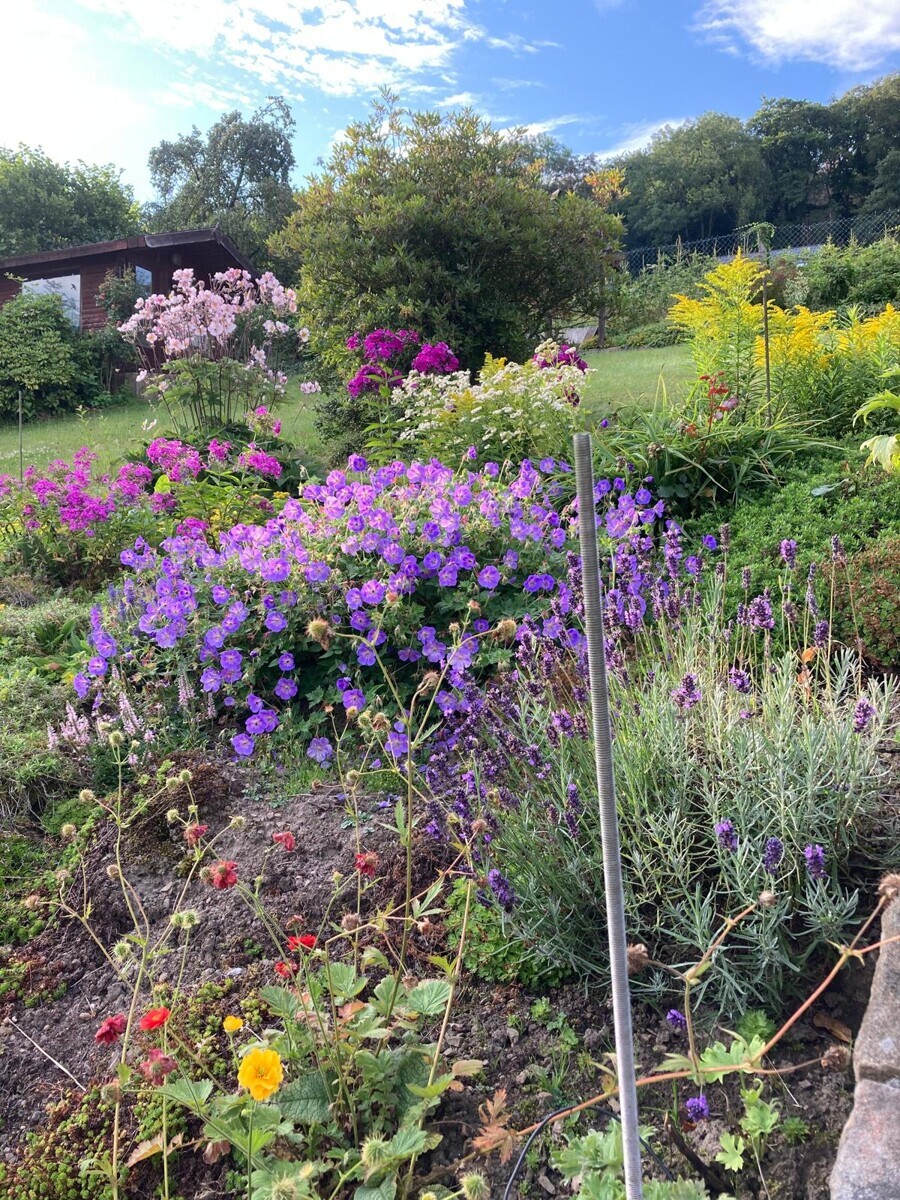 Garten