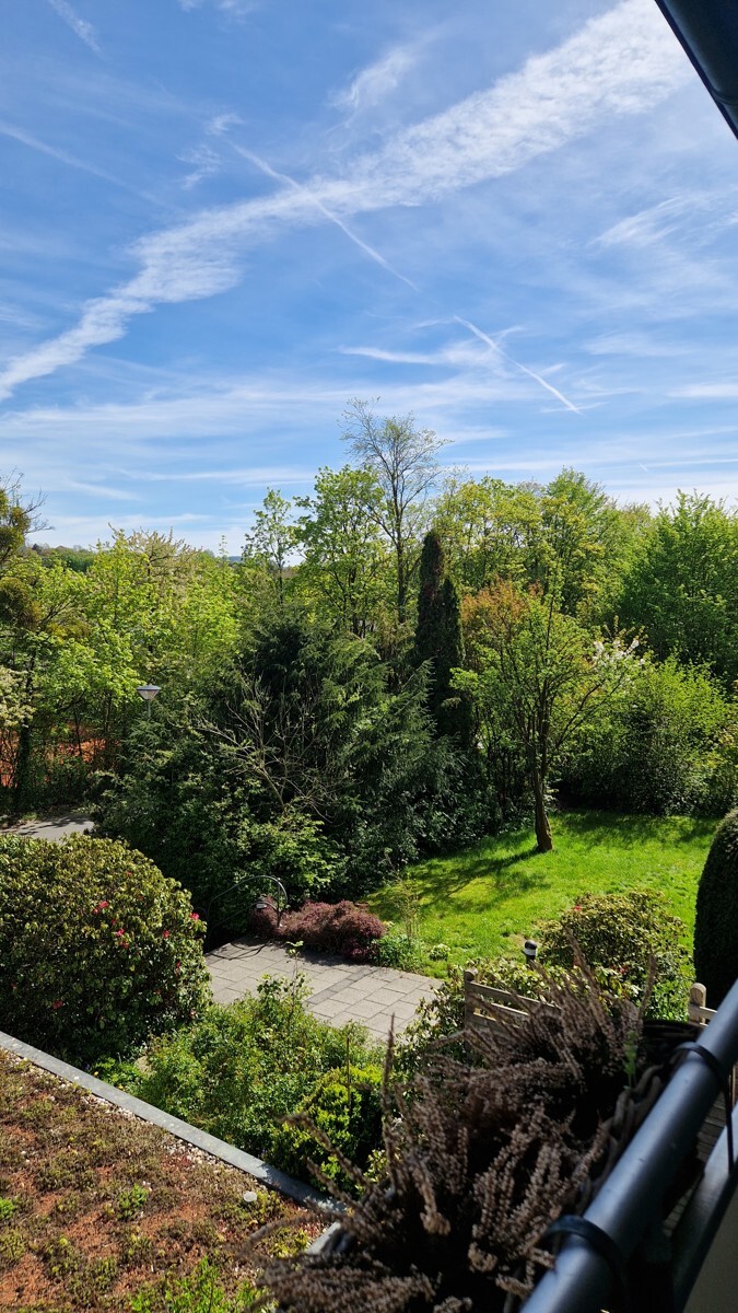 Ausblick