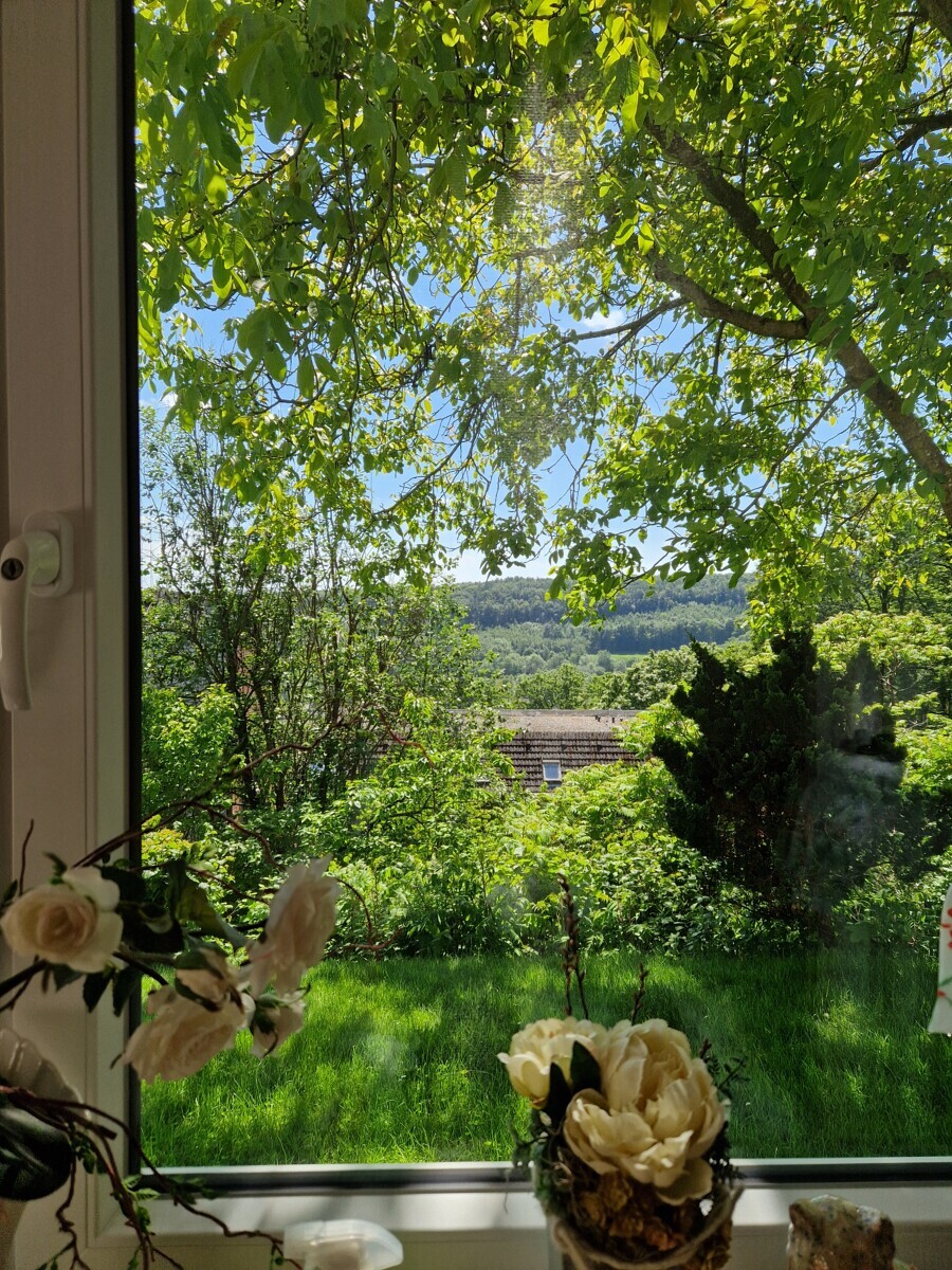 Blick aus dem Wohnzimmerfenster