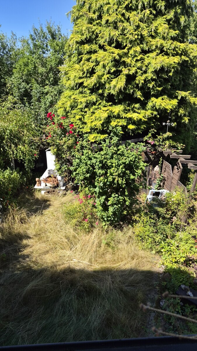 Blick vom Balkon