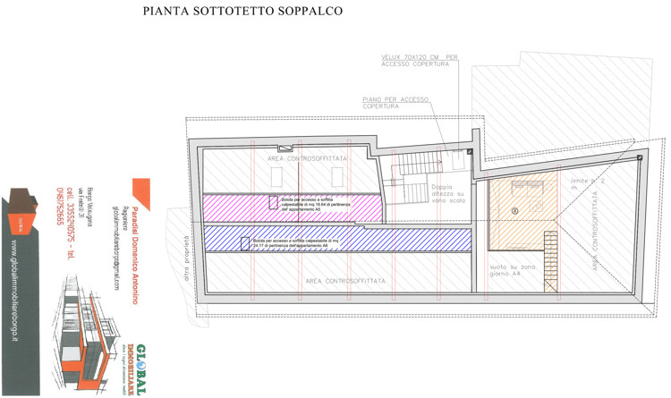 piante-4