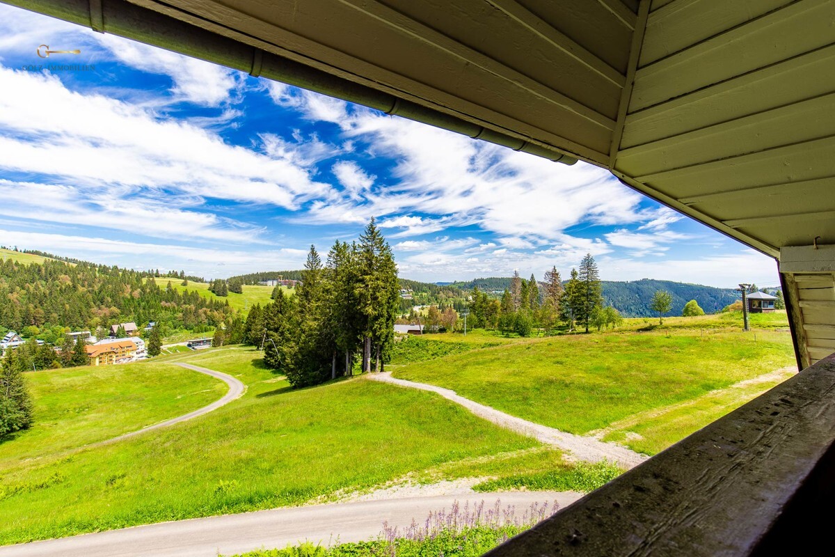 Ausblick