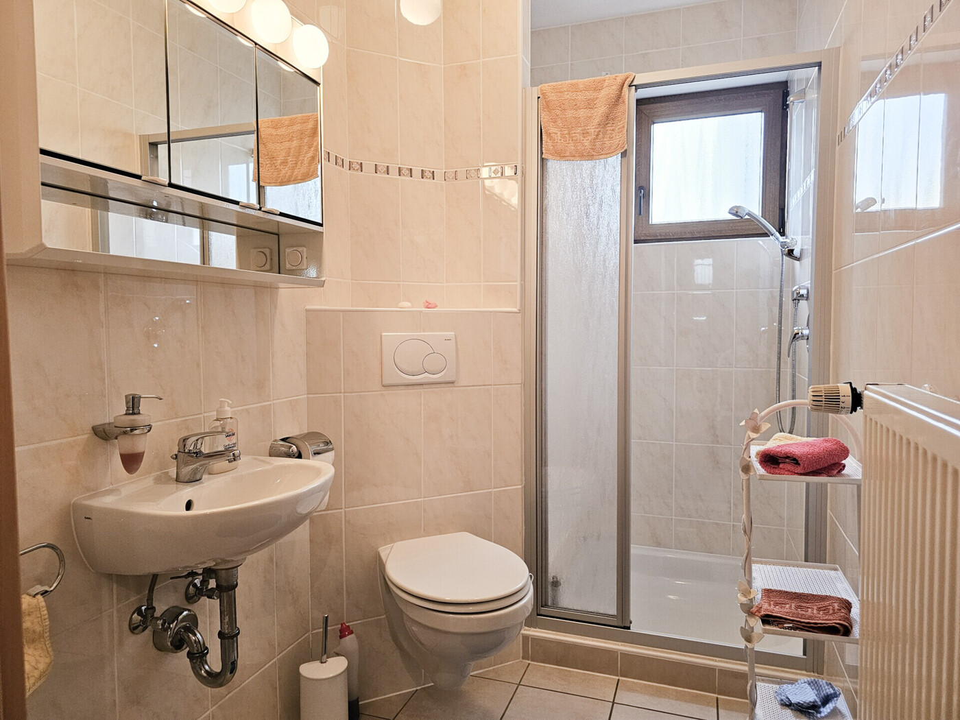 Gäste WC mit Dusche