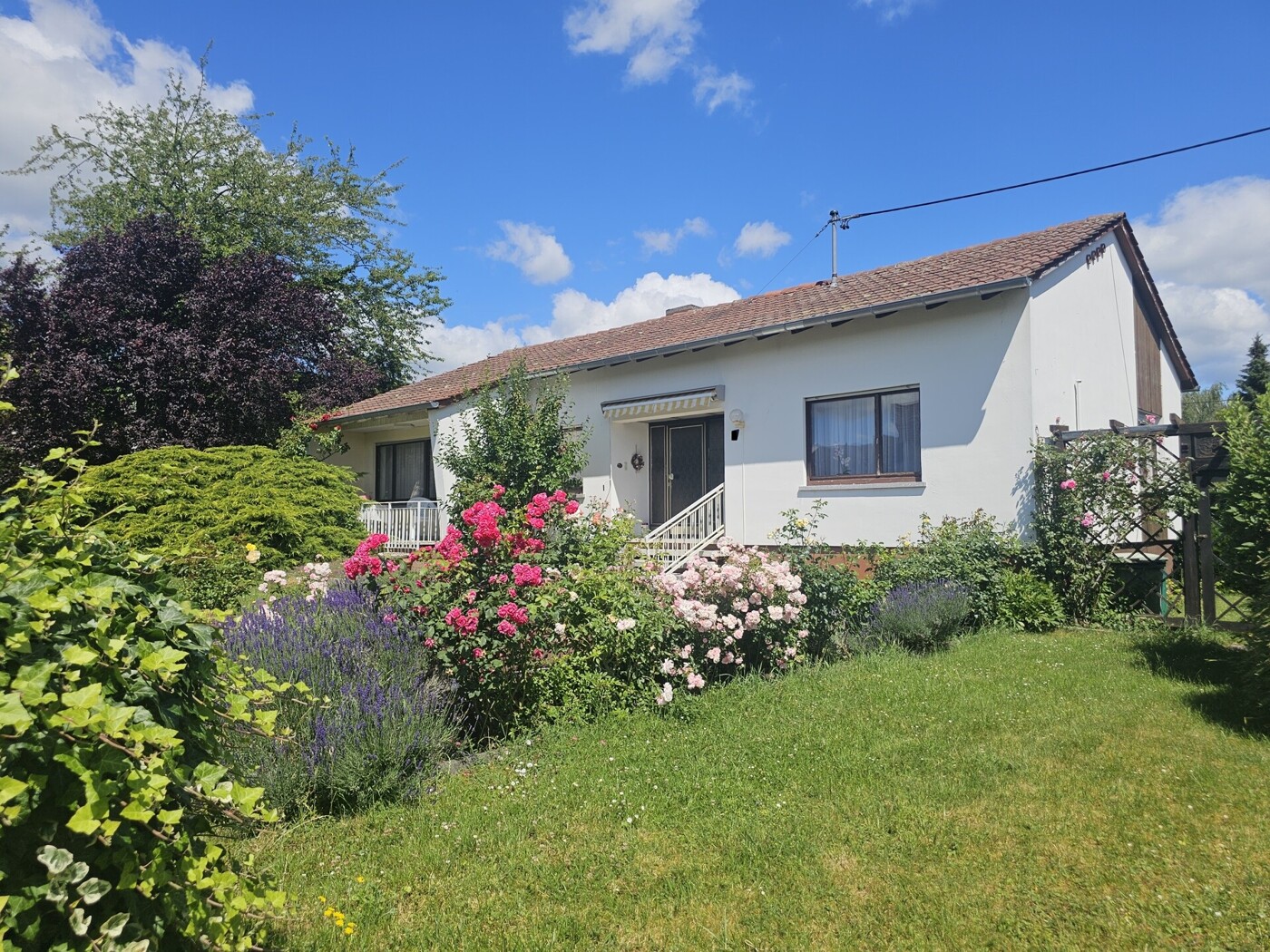 Ihr neues Zuhause