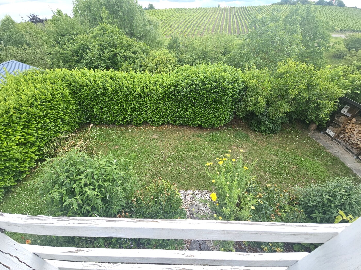 Blick in den Garten