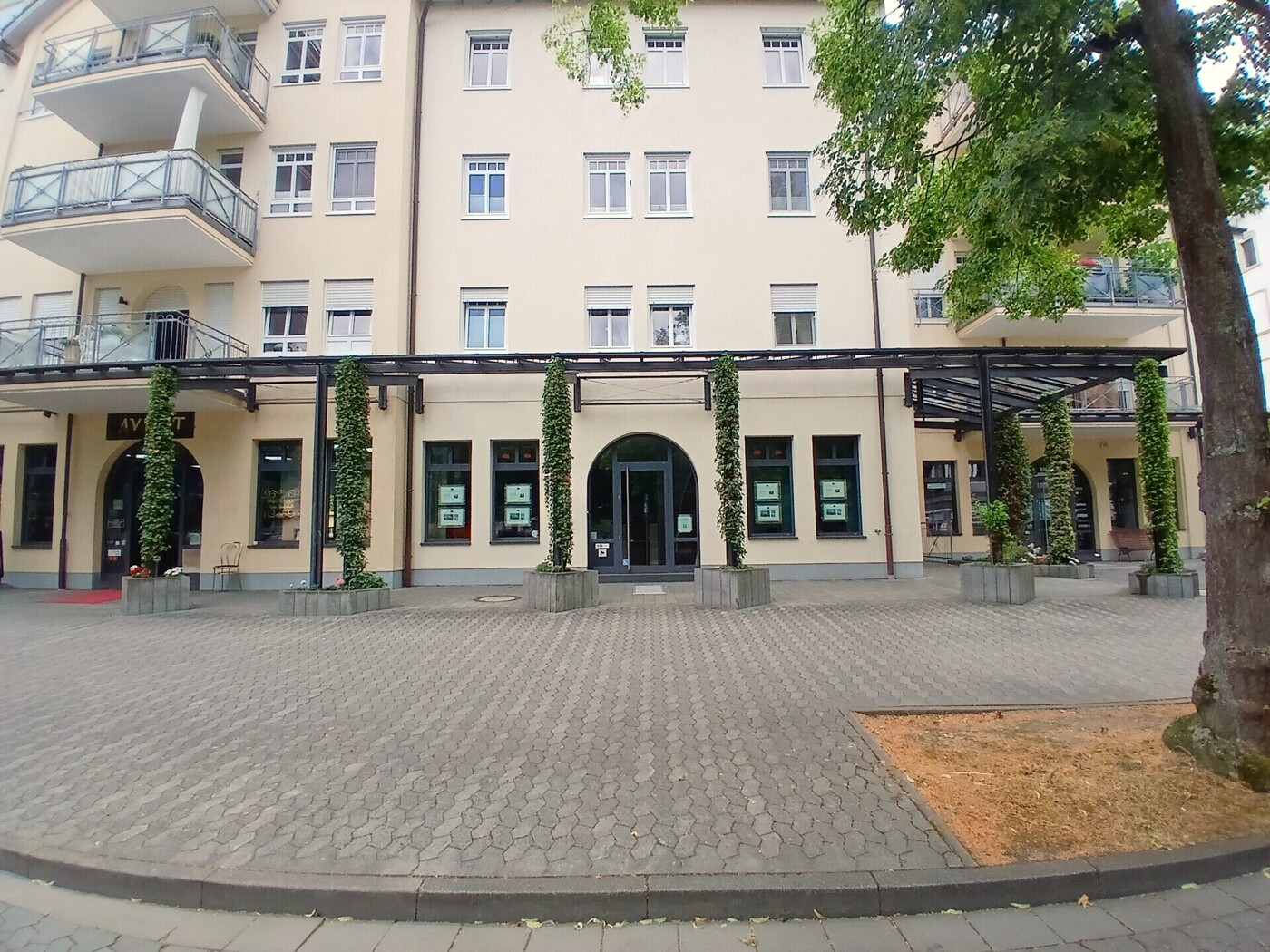 mit Fensterfronten
