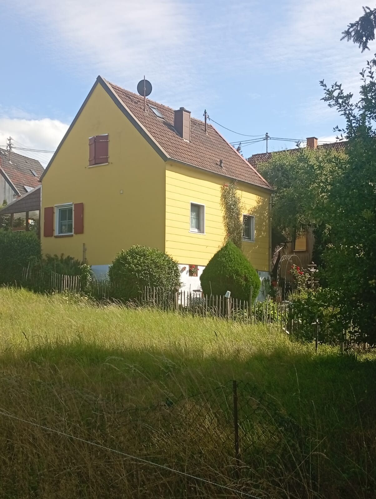 Sommer Impressionen