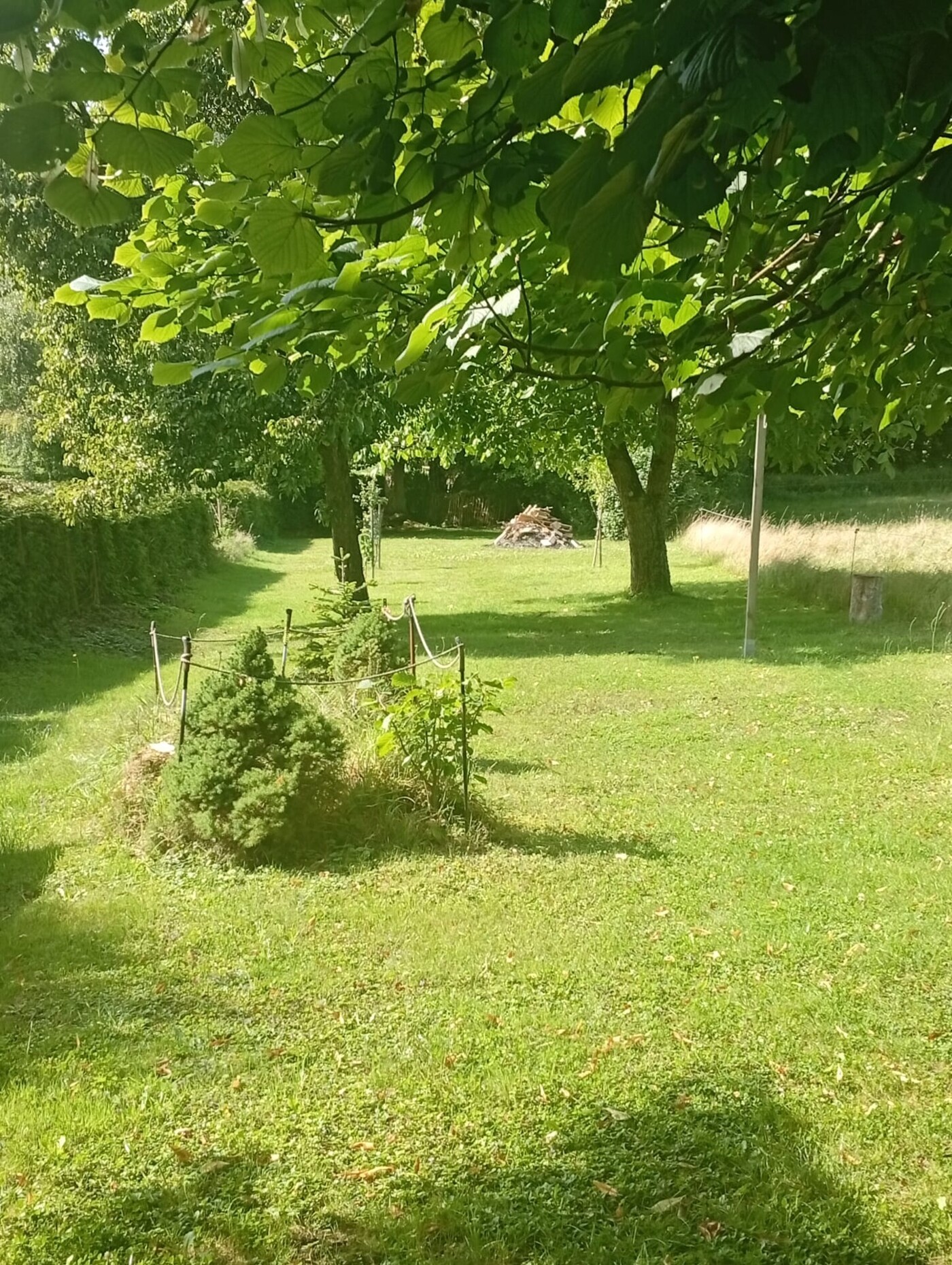 Sommer Impressionen