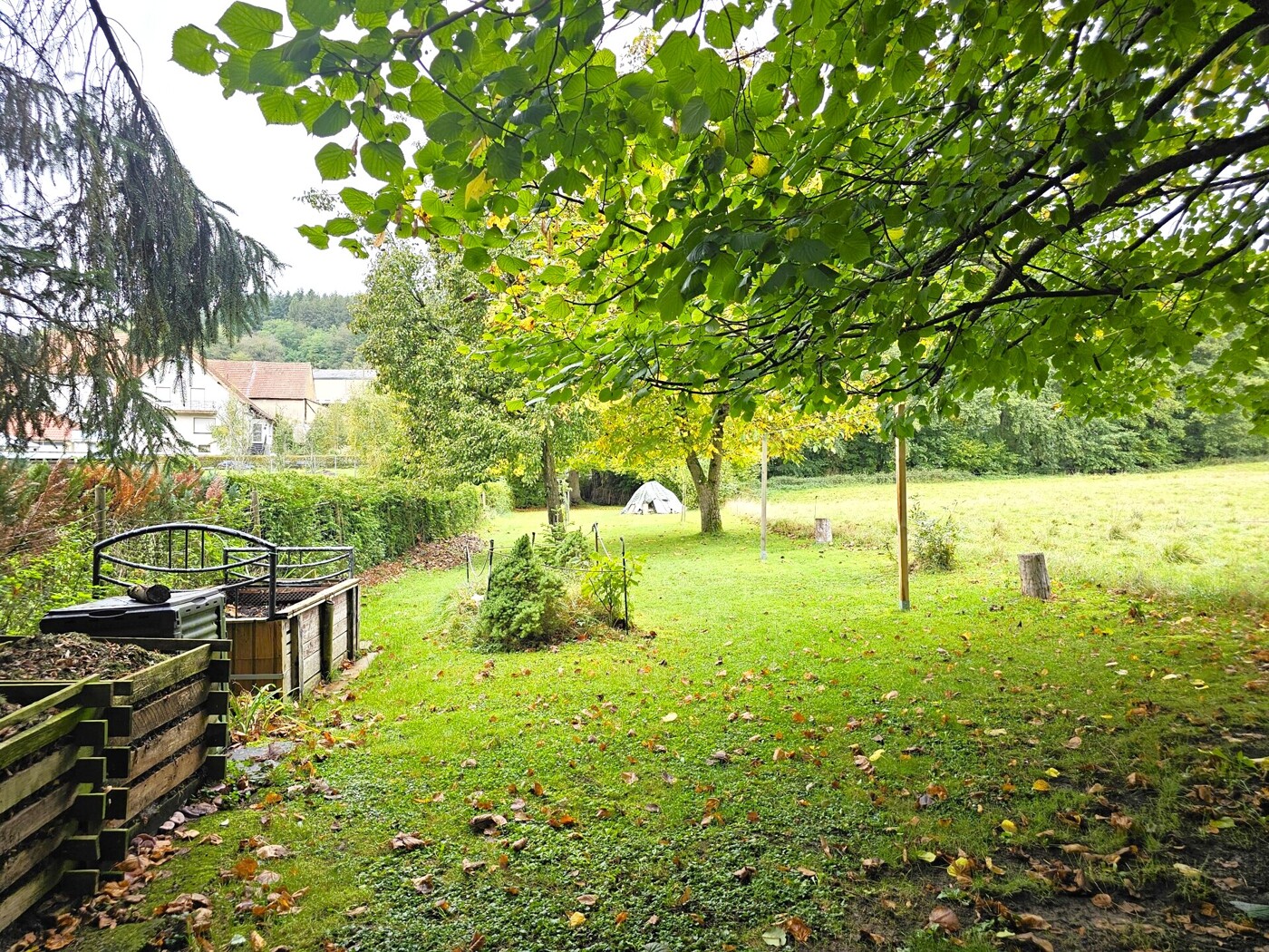 große Wiese zum Gärtnern und toben