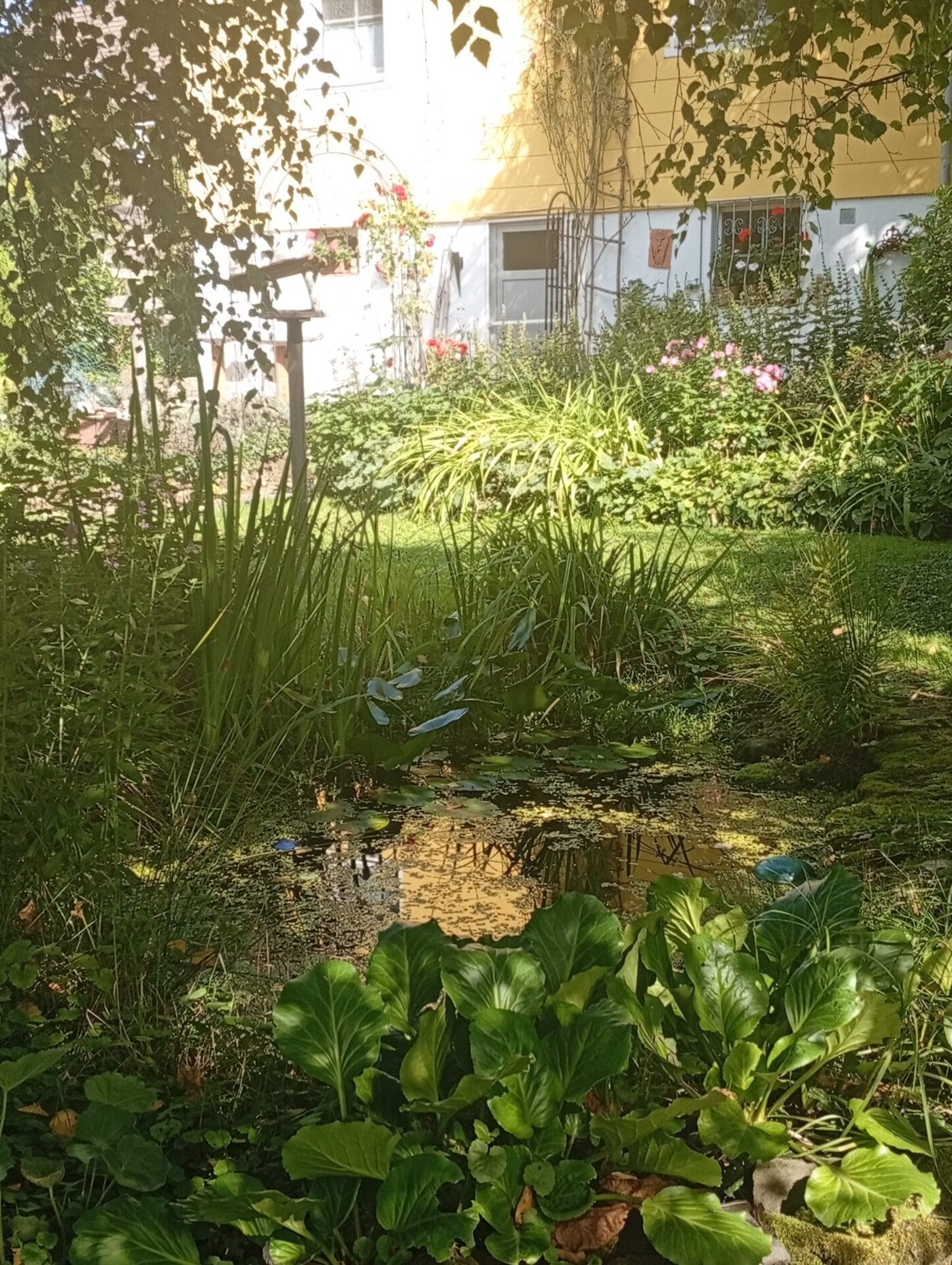 Sommer Impressionen
